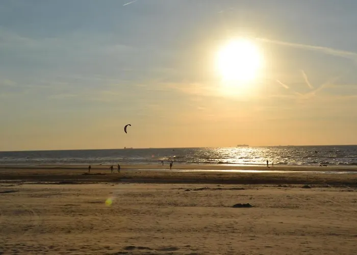 Pipowagen Op Het * s-Gravenzande